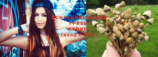 соль курить ск Горно-Алтайск